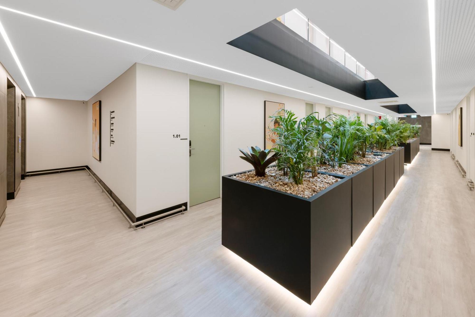 Haberfield Hotel Сидни Екстериор снимка